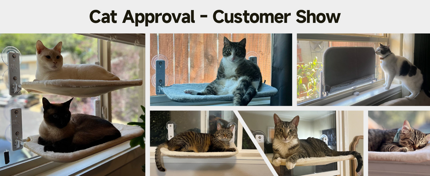 MEWOOFUN Cat Window Perch Hammock With Steel Frame And Strong Suction Cups Washable Cat Bed Seat For Indoor Cats White Medium