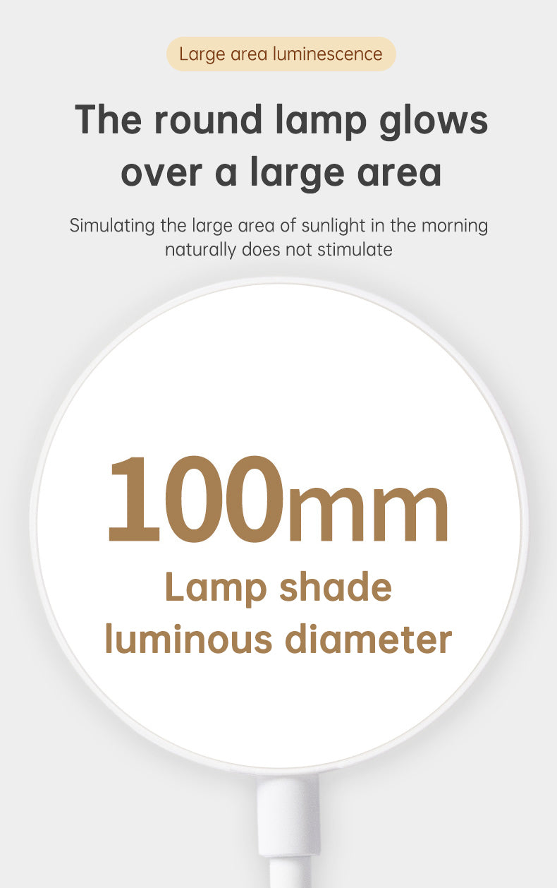 Table Lamp Eye Protection Desk Rechargeable Plug-In Dual Purpose Clamp Table Lamp Dormitory Bedroom Learning LED Bedside