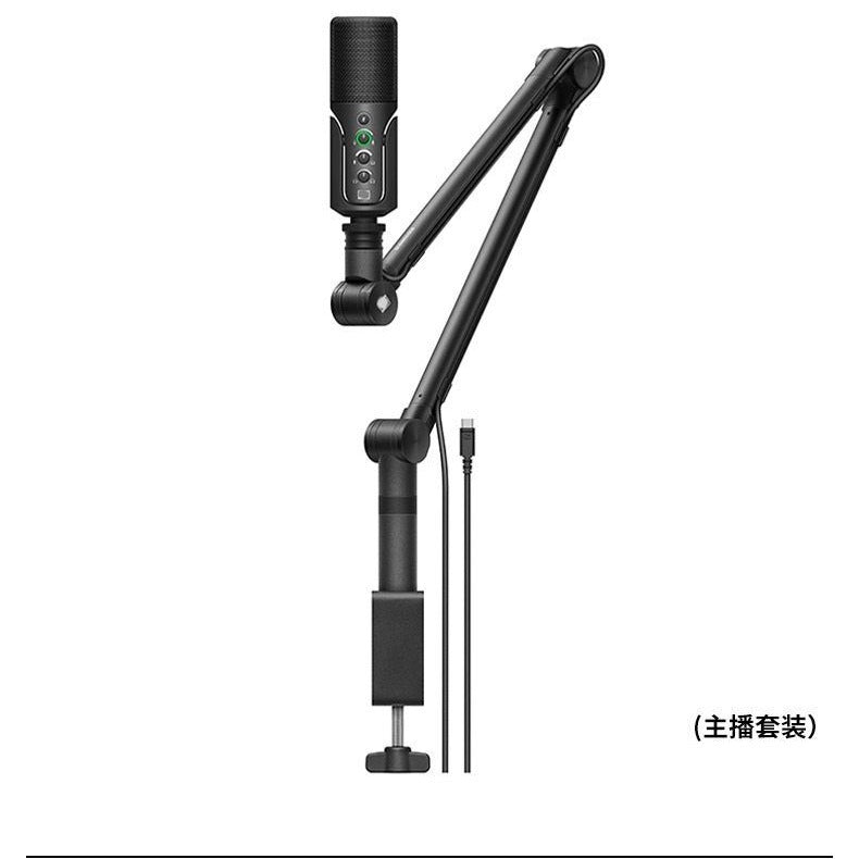 Cross-border Supply Of Senhai Profile Usb Condenser Microphone Computer Live Karaoke Dubbing Recording Desktop Microphone