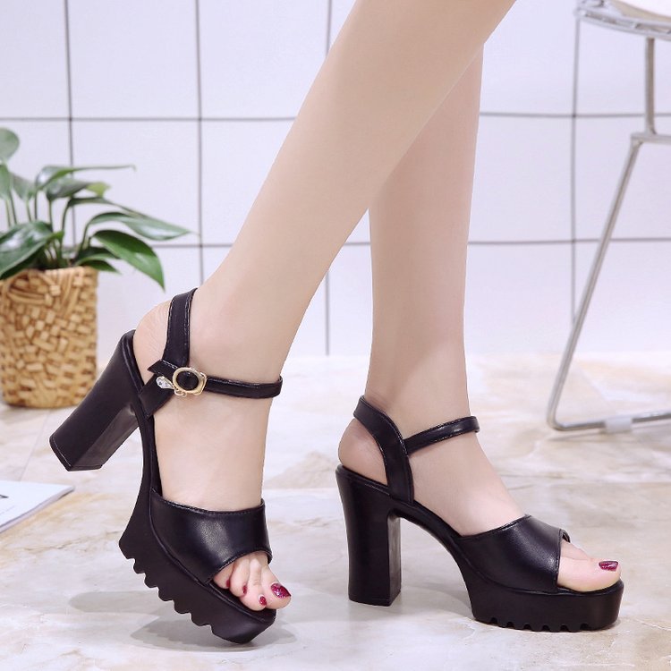 Sandals Women's Summer High Heel Thick Heel Platform Sexy New Korean Style Women's Shoes With Scrub Buckle And Fish Mouth