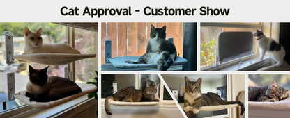 MEWOOFUN Cat Window Perch Hammock With Steel Frame And Strong Suction Cups Washable Cat Bed Seat For Indoor Cats White Medium