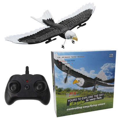 remote control aircraft