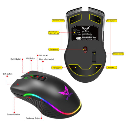 Factory Direct Wireless Gaming Mouse Type-c Charging Interface RGB Luminous Bluetooth Mouse Cross-border Wholesale