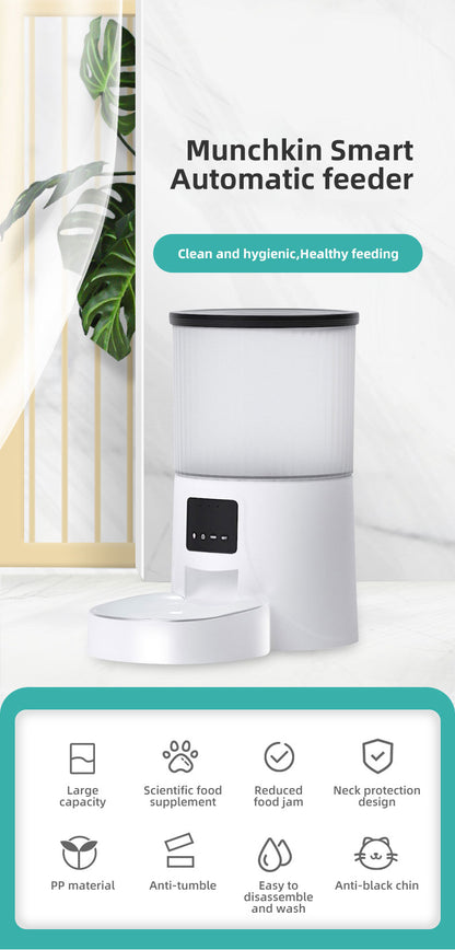 Wifi Smart APP Pet Feeder Household use Microchip Dog Automatic Pet Feeder Automatic Pet Feeder