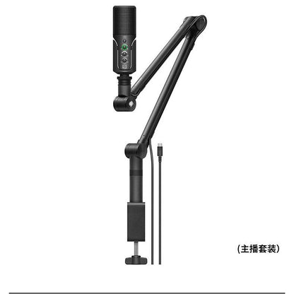 Cross-border Supply Of Senhai Profile Usb Condenser Microphone Computer Live Karaoke Dubbing Recording Desktop Microphone