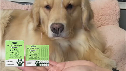 Yegbong Pet Cleaning Disposable Gloves No Bath Cleaning Gloves For Cleaning Cat And Dog Dirt And Odor
