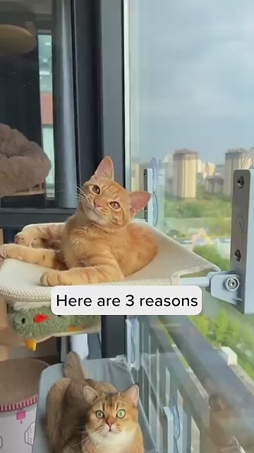 MEWOOFUN Cat Window Perch Hammock With Steel Frame And Strong Suction Cups Washable Cat Bed Seat For Indoor Cats White Medium