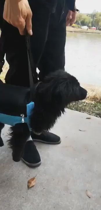 TAILUP New Chest Pet Bag Encircled Large Dog Backpack For Going Out Convenient Carrying Bag Wholesale